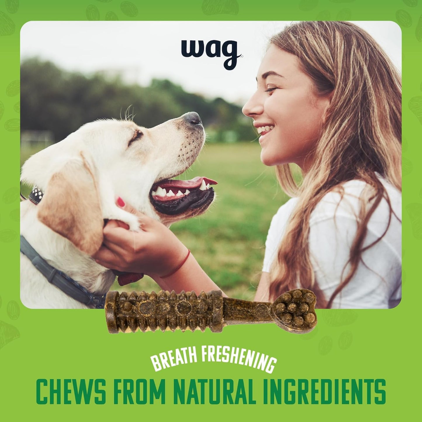 Wag Dog Dental Chews, Large — Green Brush, Unflavored, 24 Count